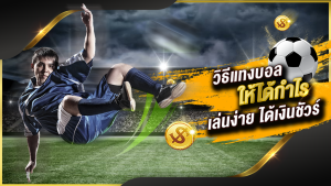 วิธีแทงบอลออนไลน์